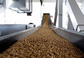 Seed Production & Trade